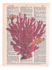 Artnwordz Coral Reef Dictionary Page Pop Art Wall or Desk Art Print Poster