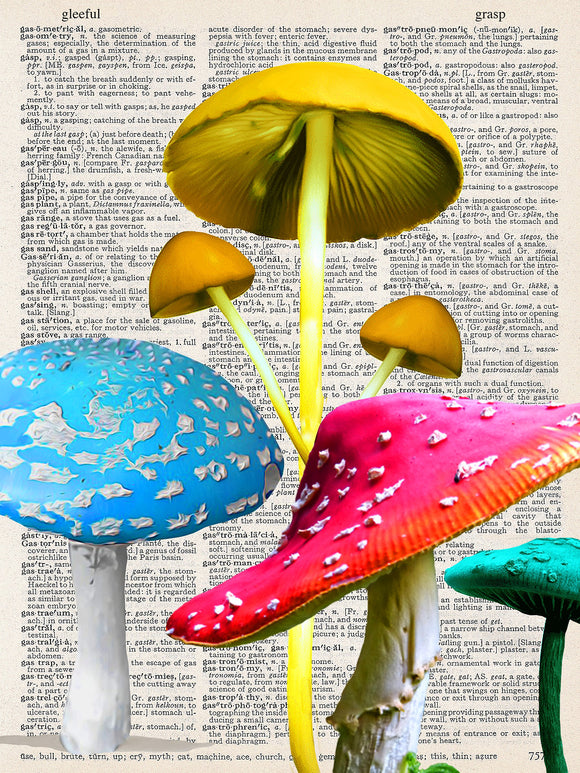 Artnwordz Festive Funghi Dictionary Page Wall Art Print