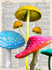 Artnwordz Festive Funghi Dictionary Page Wall Art Print