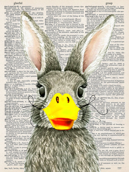 Artnwordz Rabbit Quack (Rabbit + Duck) Dictionary Page Wall Art Print