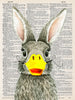 Artnwordz Rabbit Quack (Rabbit + Duck) Dictionary Page Wall Art Print