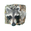 Peeping Raccoon from Tree Taxidermy Wall Mounted Animal Statue Gift